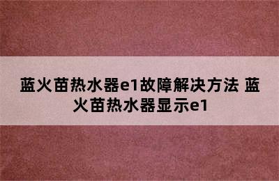 蓝火苗热水器e1故障解决方法 蓝火苗热水器显示e1